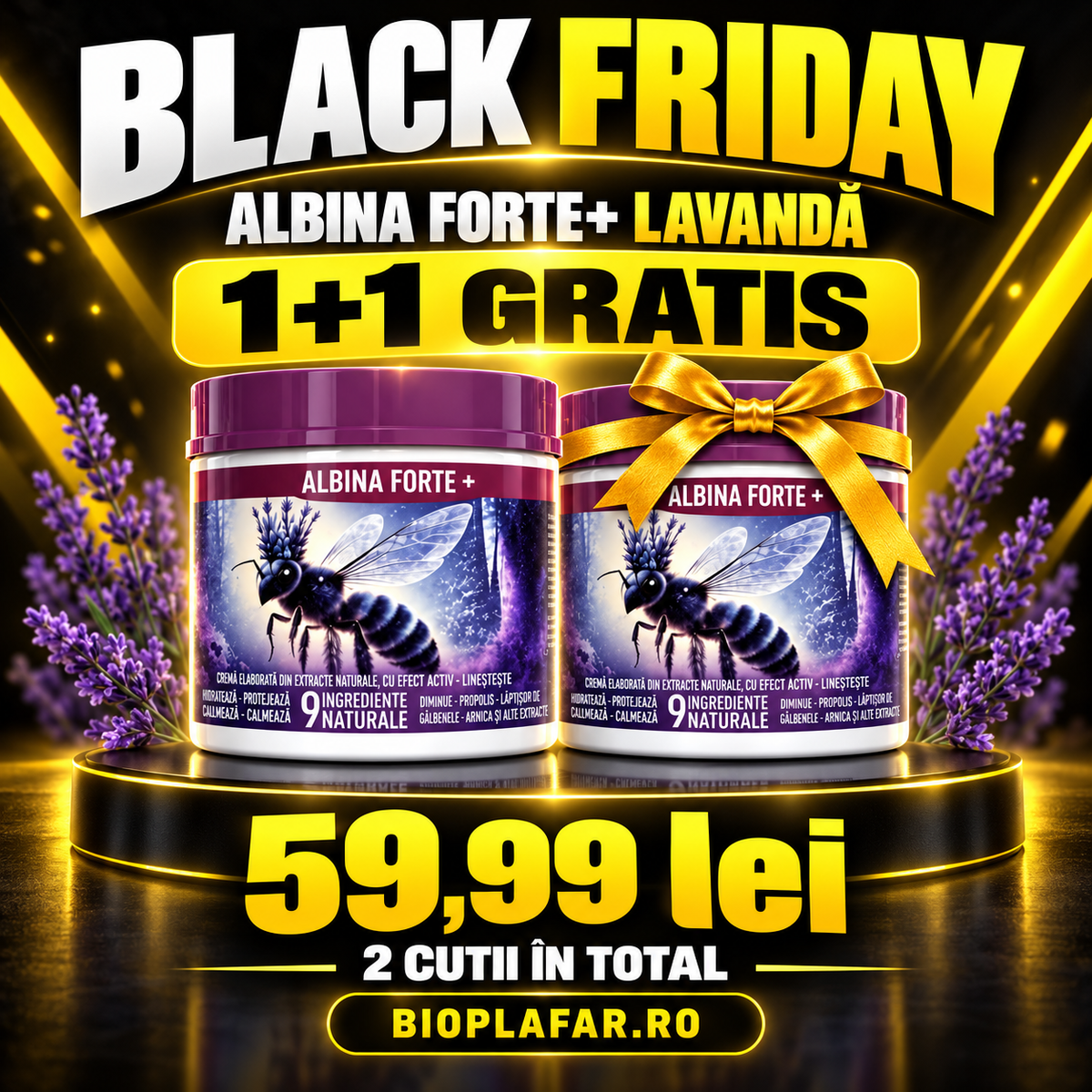 ALBINA FORTE LAVANDA BLACKFRIDAY