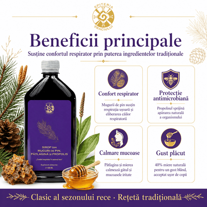 Leac Bătrânesc pentru Tuse și Bronșii – Sirop Muguri de Pin, Pătlagină și Propolis | 500ml