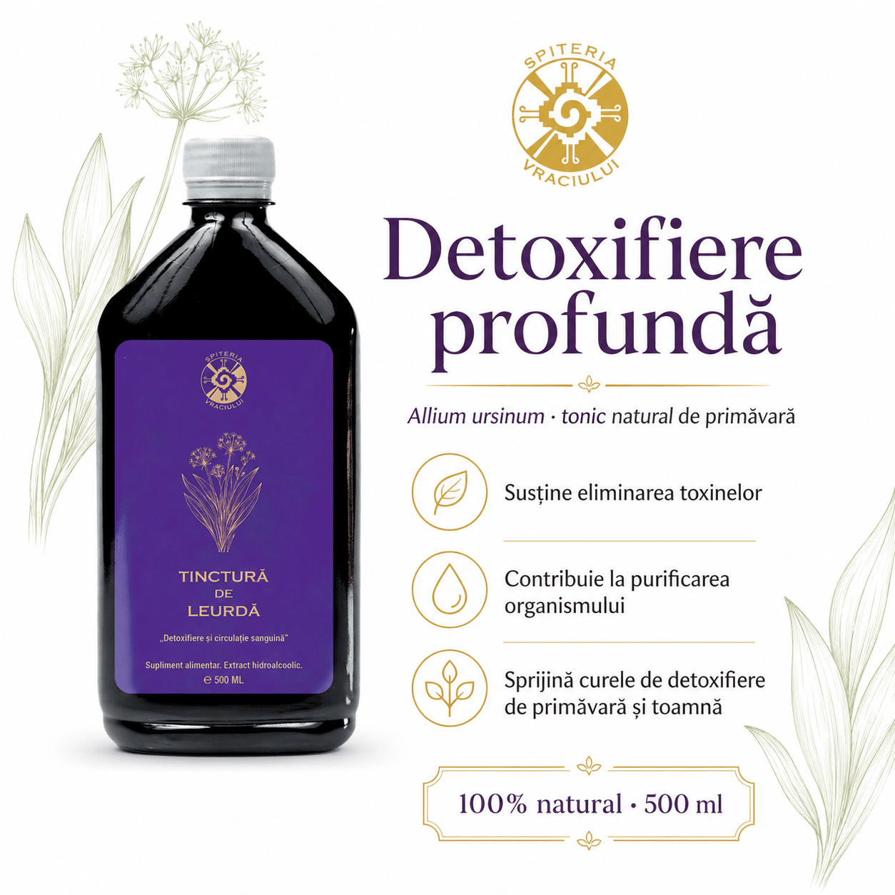 Tinctură de Leurdă – Detoxifiere și Circulație Sanguină | 500ml