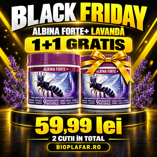 ALBINA FORTE LAVANDA BLACKFRIDAY