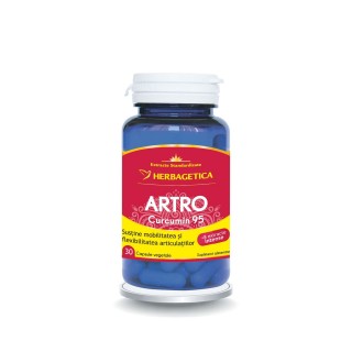 Artro Curcumin 95