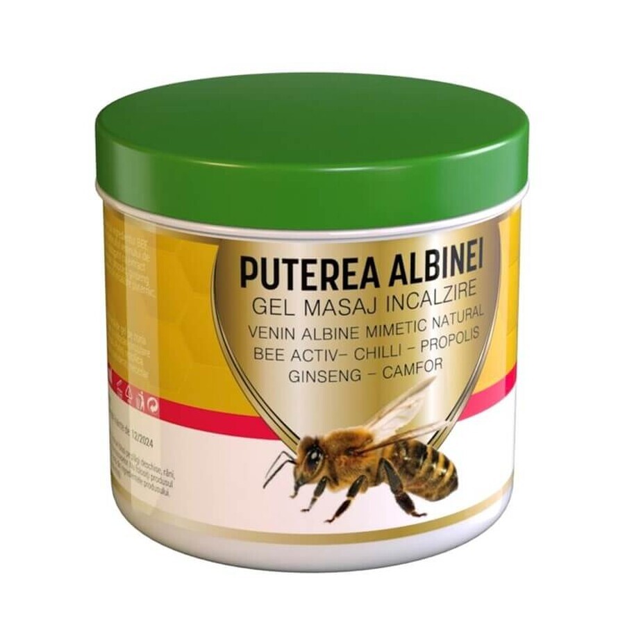 Puterea Albinei
